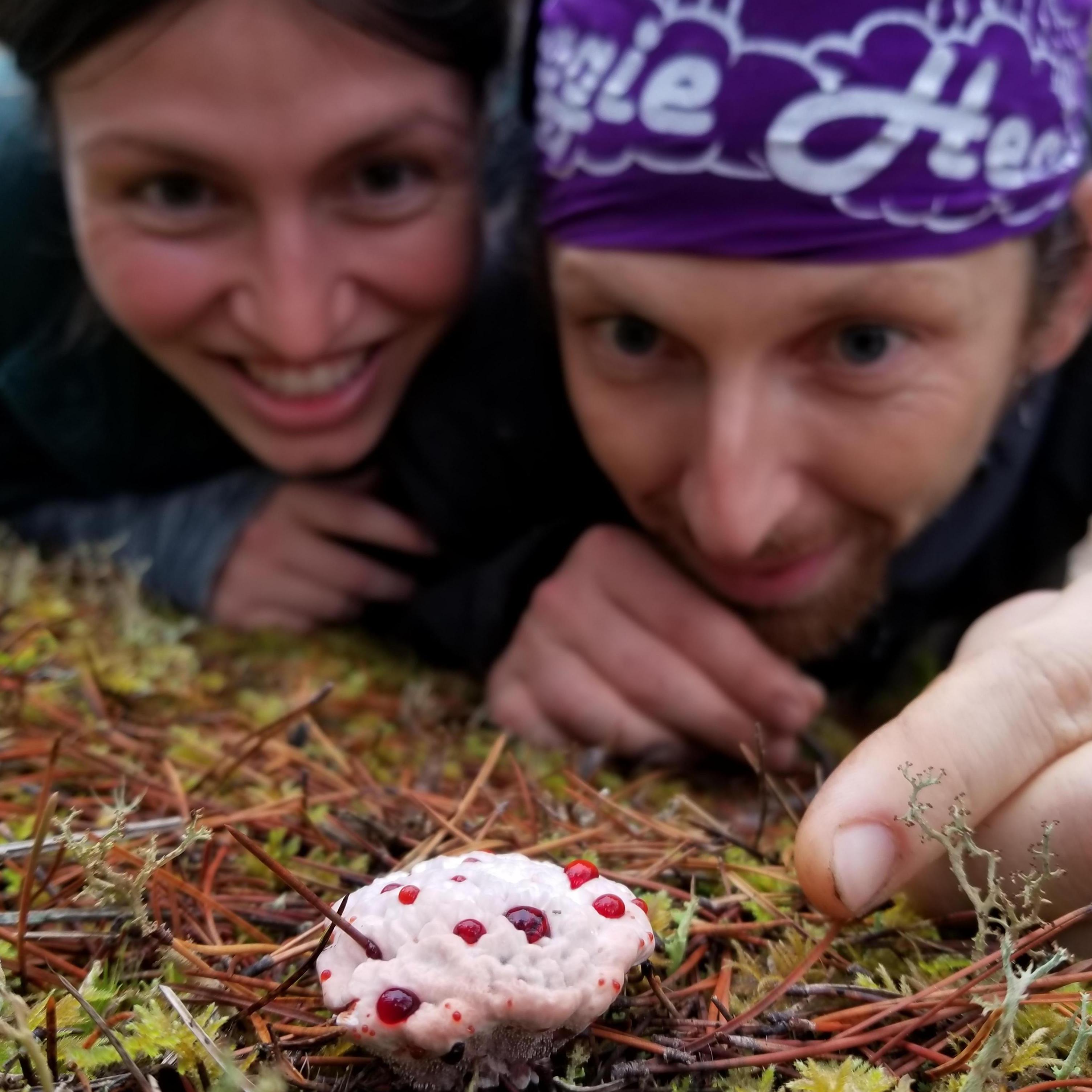 Mushroom