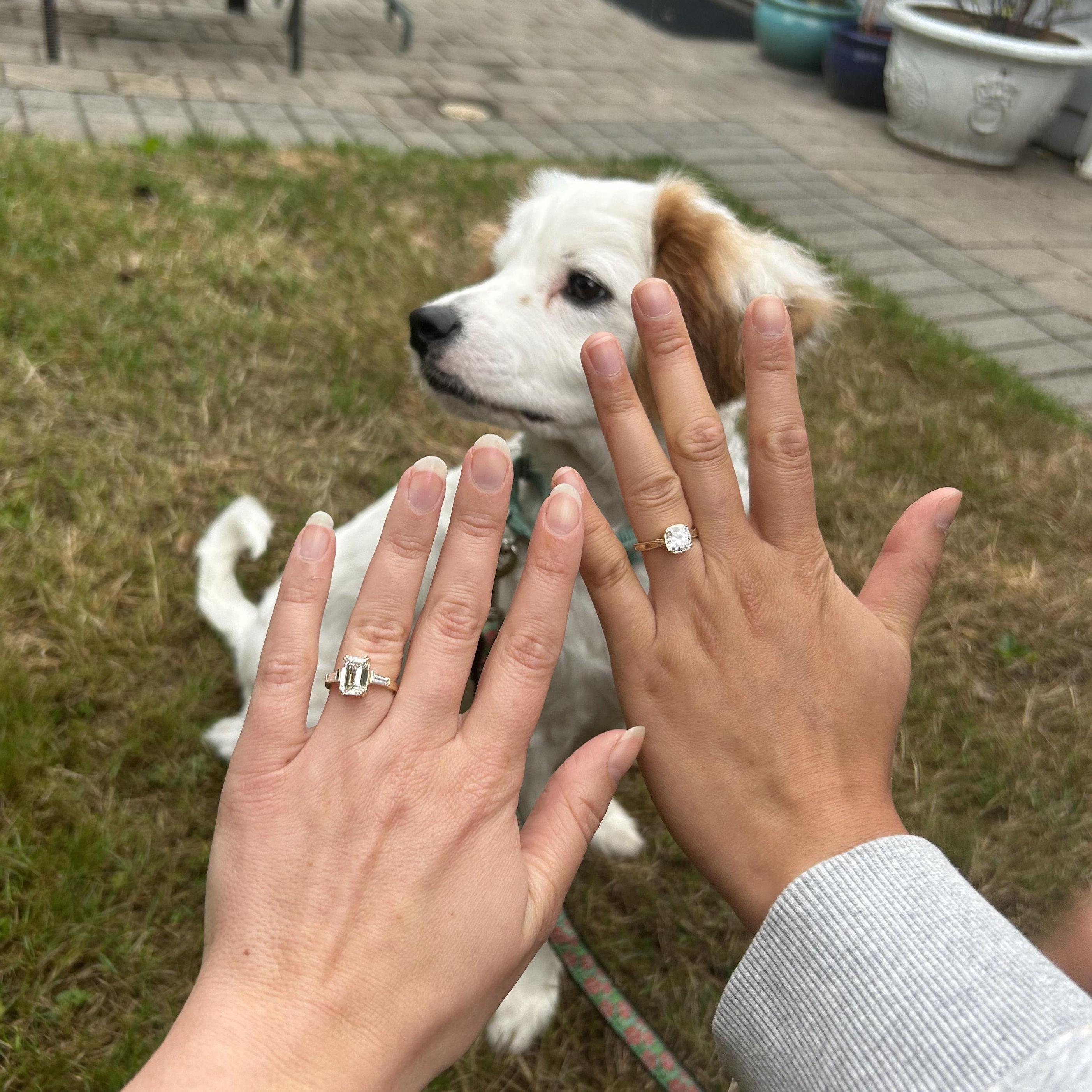 Our engagement announcement with our rescue pup Remi!