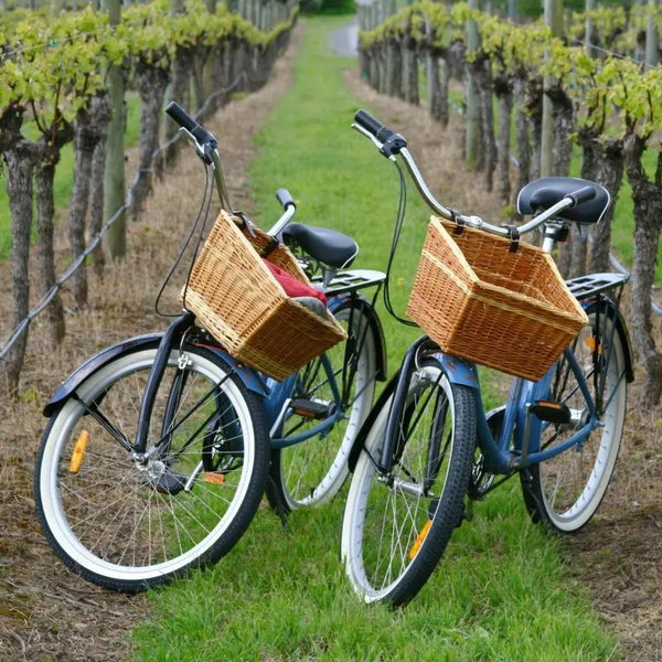 Bicycle Rental for Honeymoon Adventuring