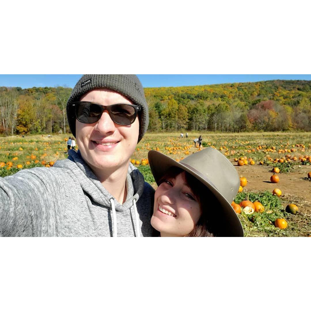 Pumpkin picking - Fall 2019