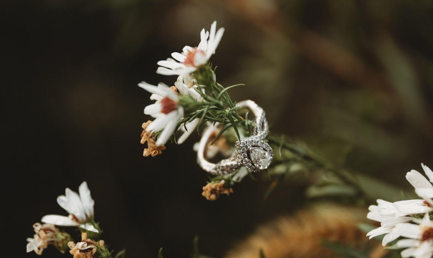 The Wedding Website of Jessica Markosky and Ryan Cronk