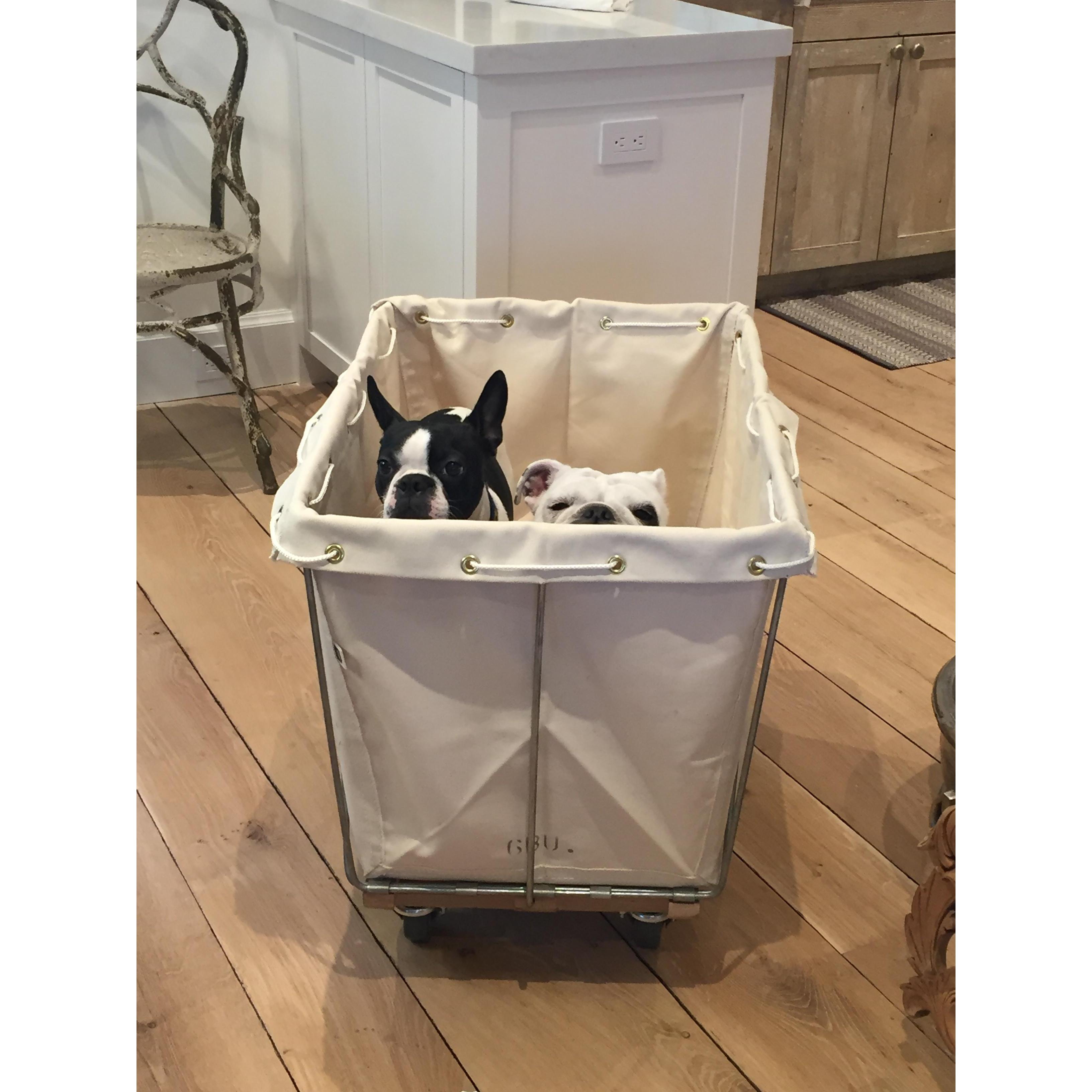 A BiN Full of LoVe!
