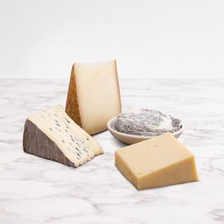Newbie Cheese Collection