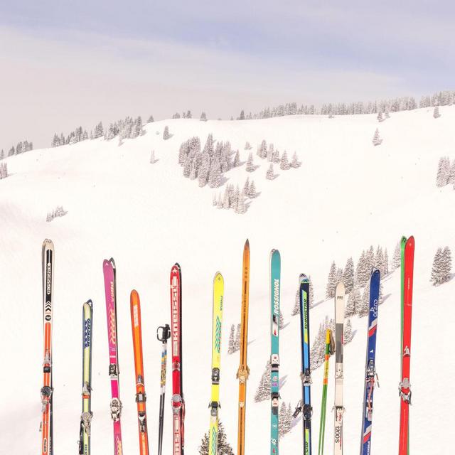 Back Bowls Vista Vertical, Vail