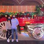 Budweiser Brewery Experience