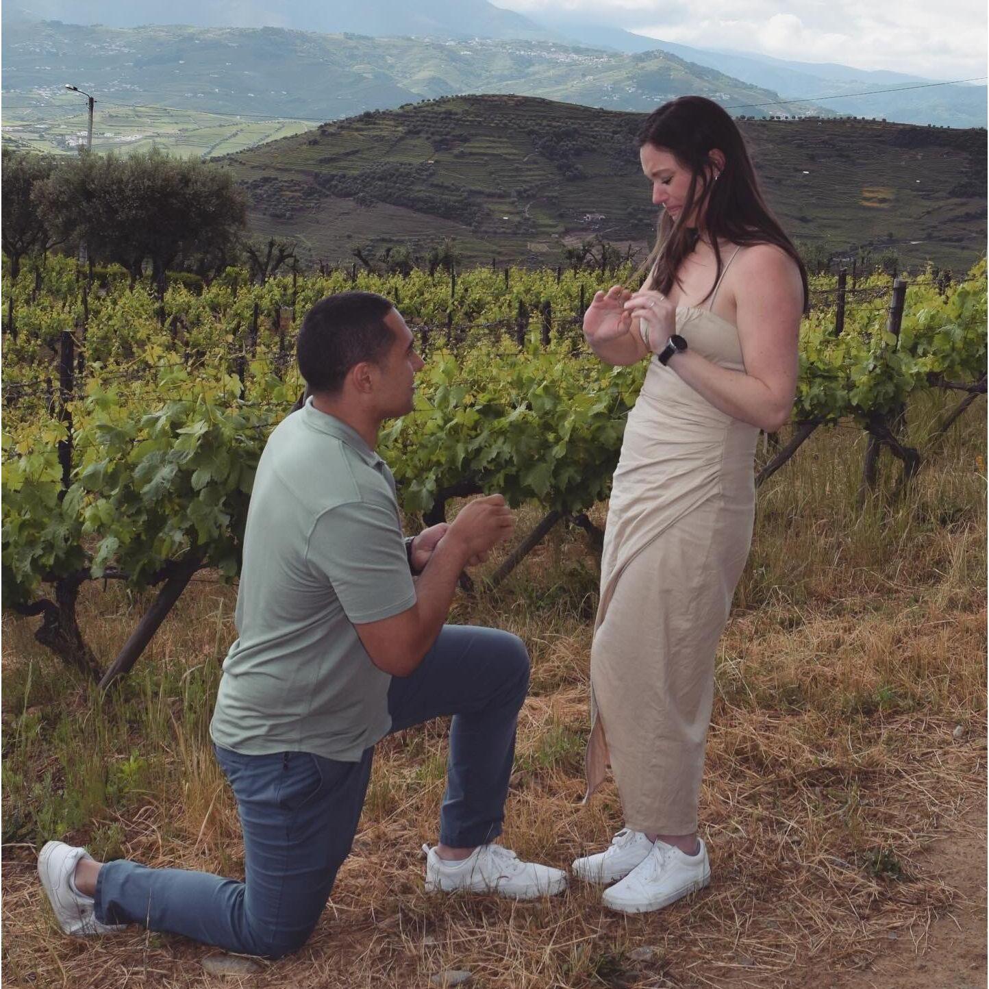 Portugal, 2024. "The Proposal"