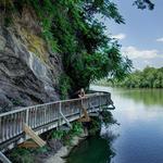 Ijams Nature Center