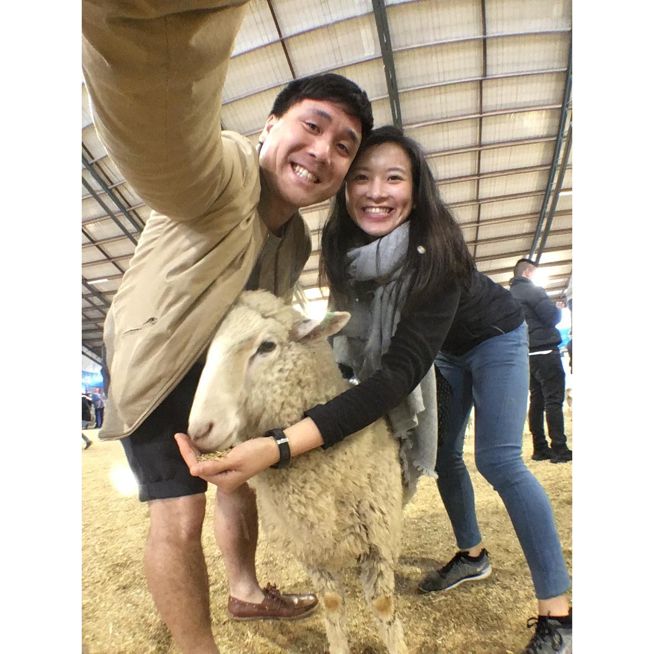 2016, Melbourne Royal Show