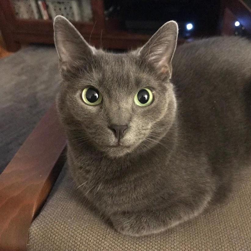 Fiona