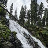Grotto Falls