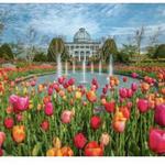 Lewis Ginter Botanical Garden