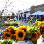 Santa Fe Farmers Market