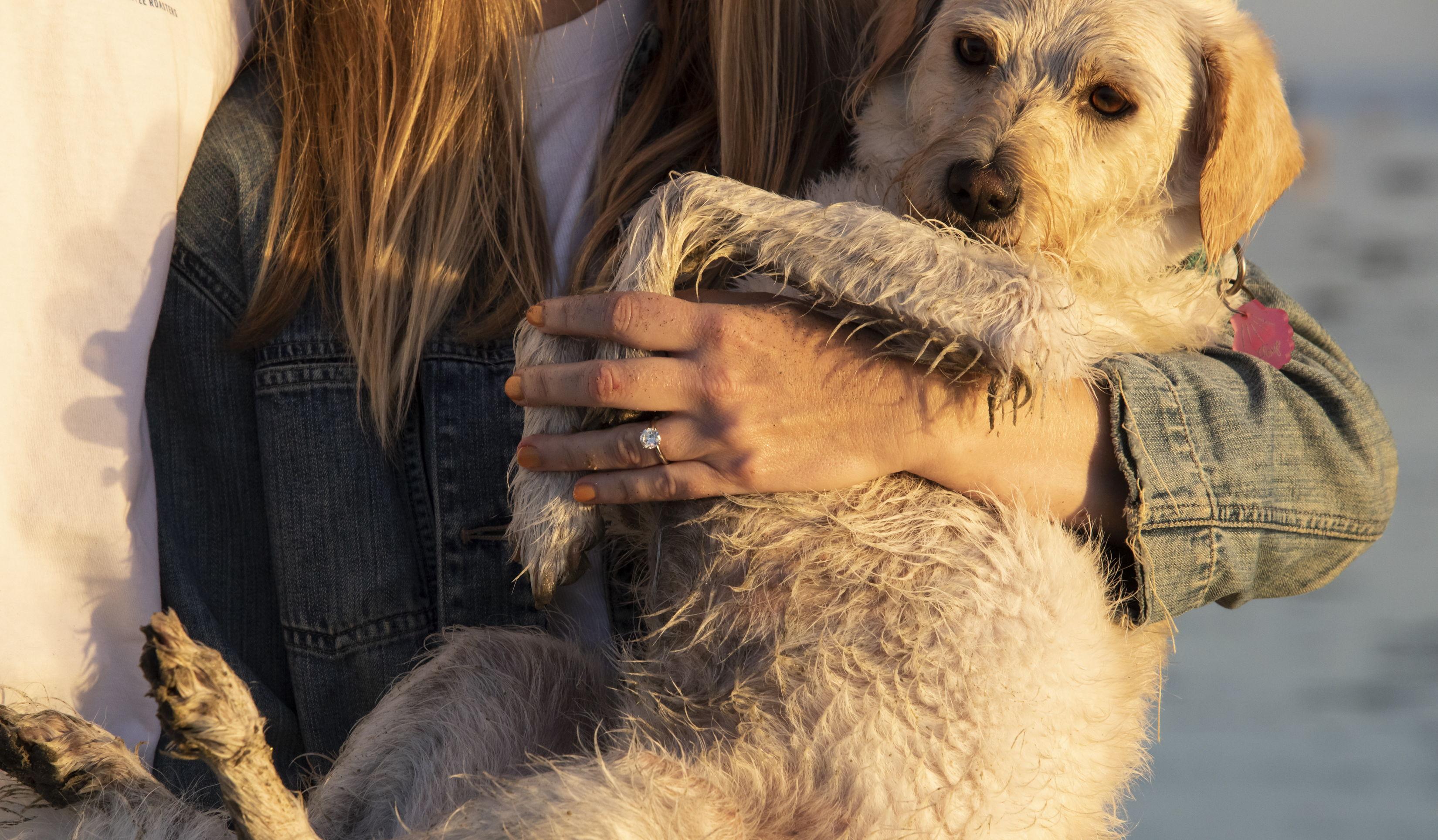 Hero Slideshow Image 5