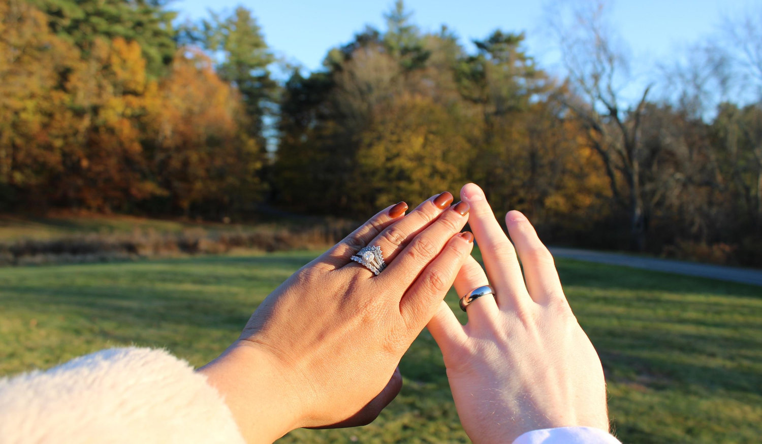 The Wedding Website of Rebheca Meninger and David Meninger