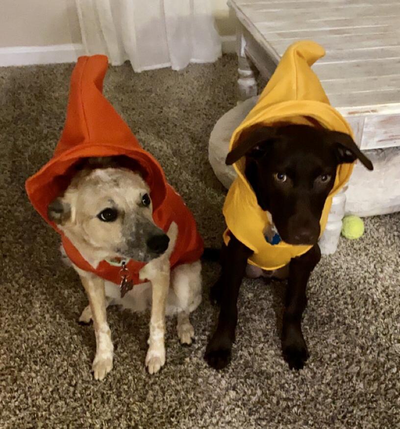 Happy Halloween, from your favorite condiments!
