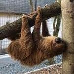 Plumpton Park Zoo
