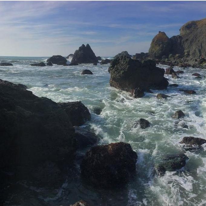 Faith proposed to Jack in the vicinity of Shell Beach, Sonoma County CA on 1/2/2020.