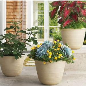 Member's Mark Elliot 14.5" Planter, Set of 3