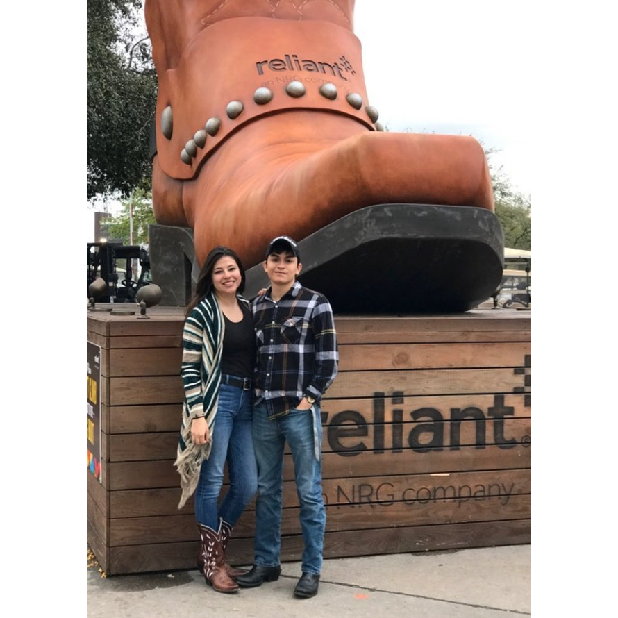 Houston Rodeo - 2017