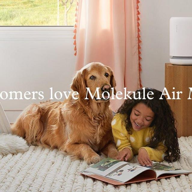 Molekule Air Purifier