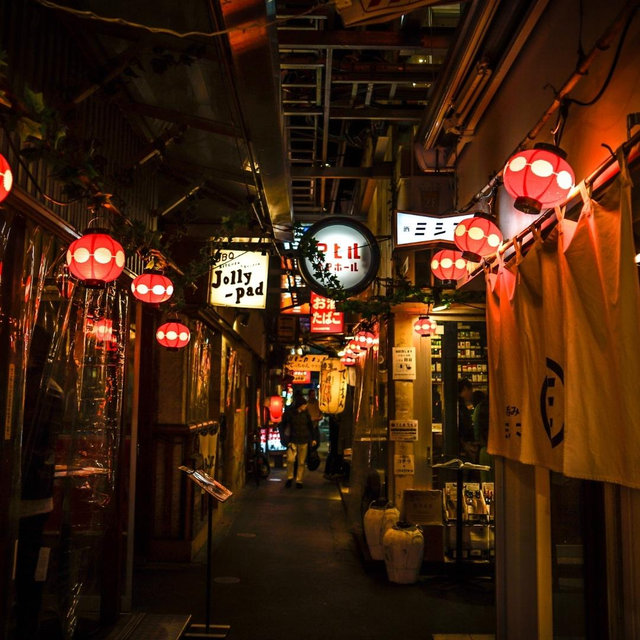 Tokyo Excursion
