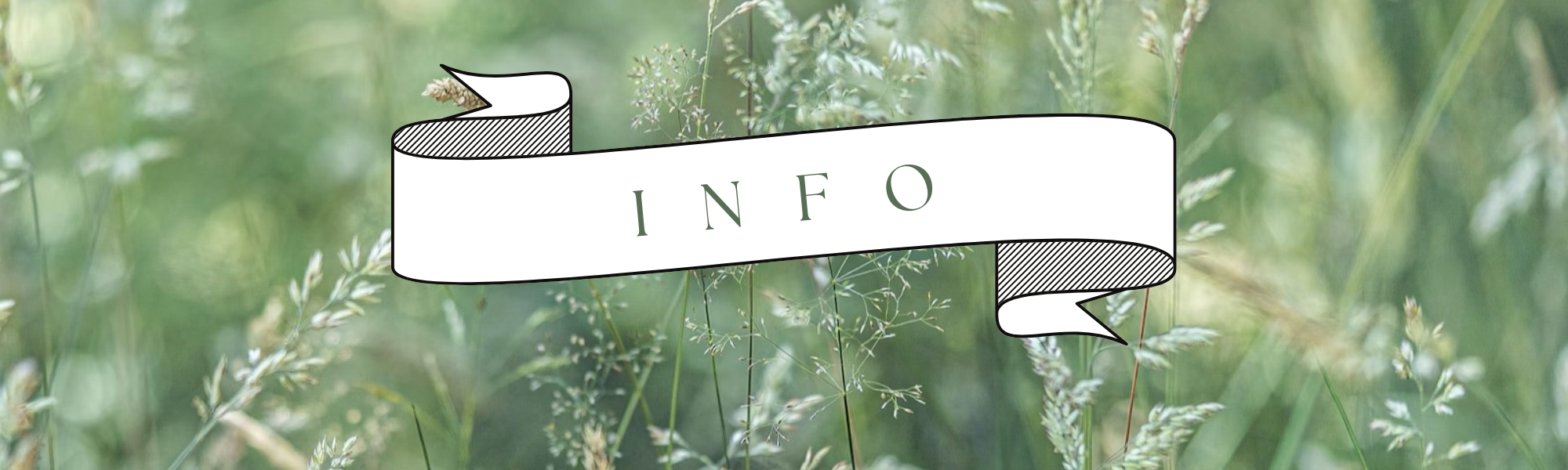 The Wedding Website of Nicole Vance and Lucas Thurman