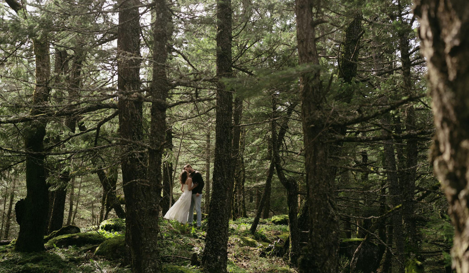 The Wedding Website of Lauren Trumbull and Zachary Greer