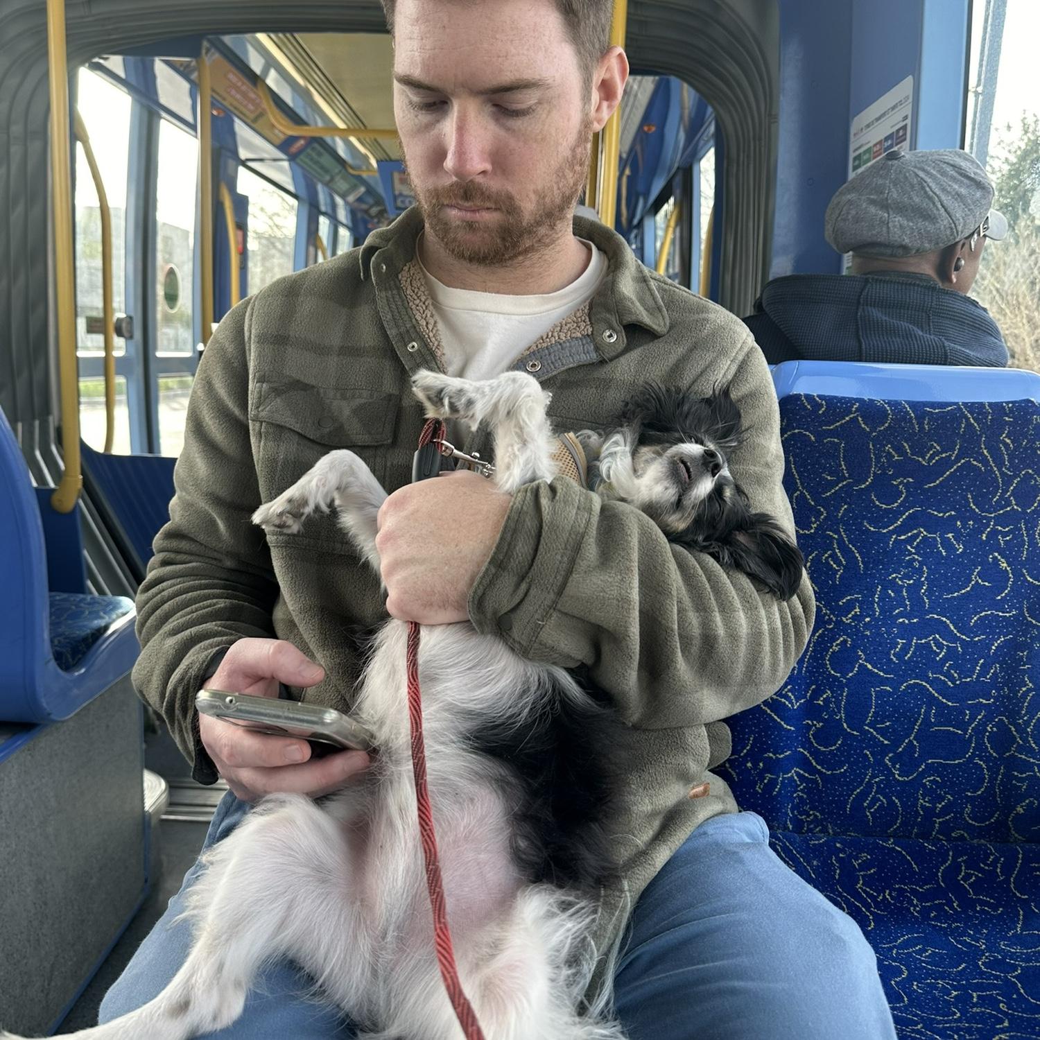 Getting comfy in the tram. Lyon 7e, Fr.
