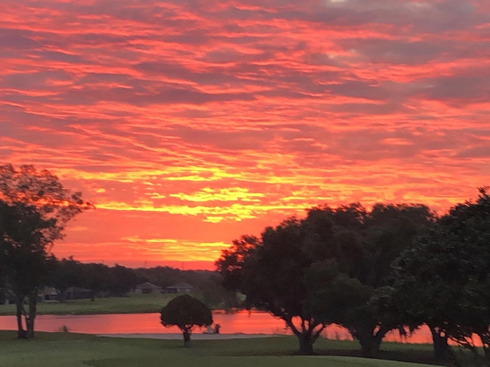 The Wedding Website of Sandra Gage and Thomas Mansfield