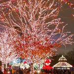 Zoo Lights @ Lincoln Park Zoo