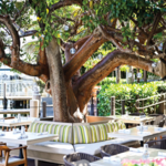 Boatyard