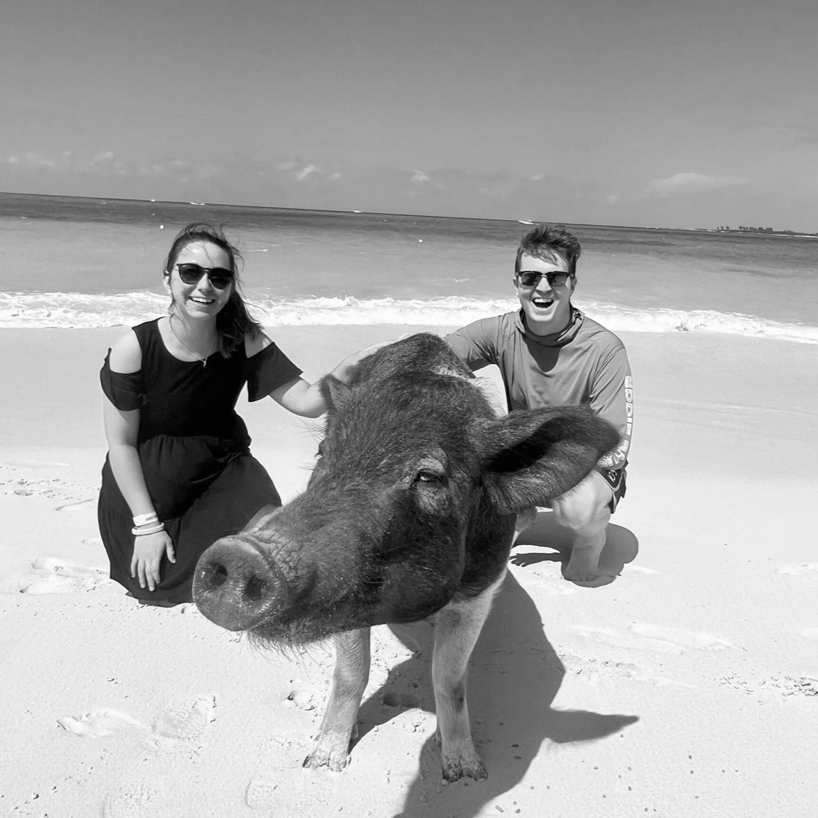 Bahamas Pig Island!