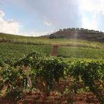 Agriturismo Tarantola