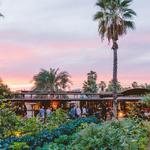 Flora Farms