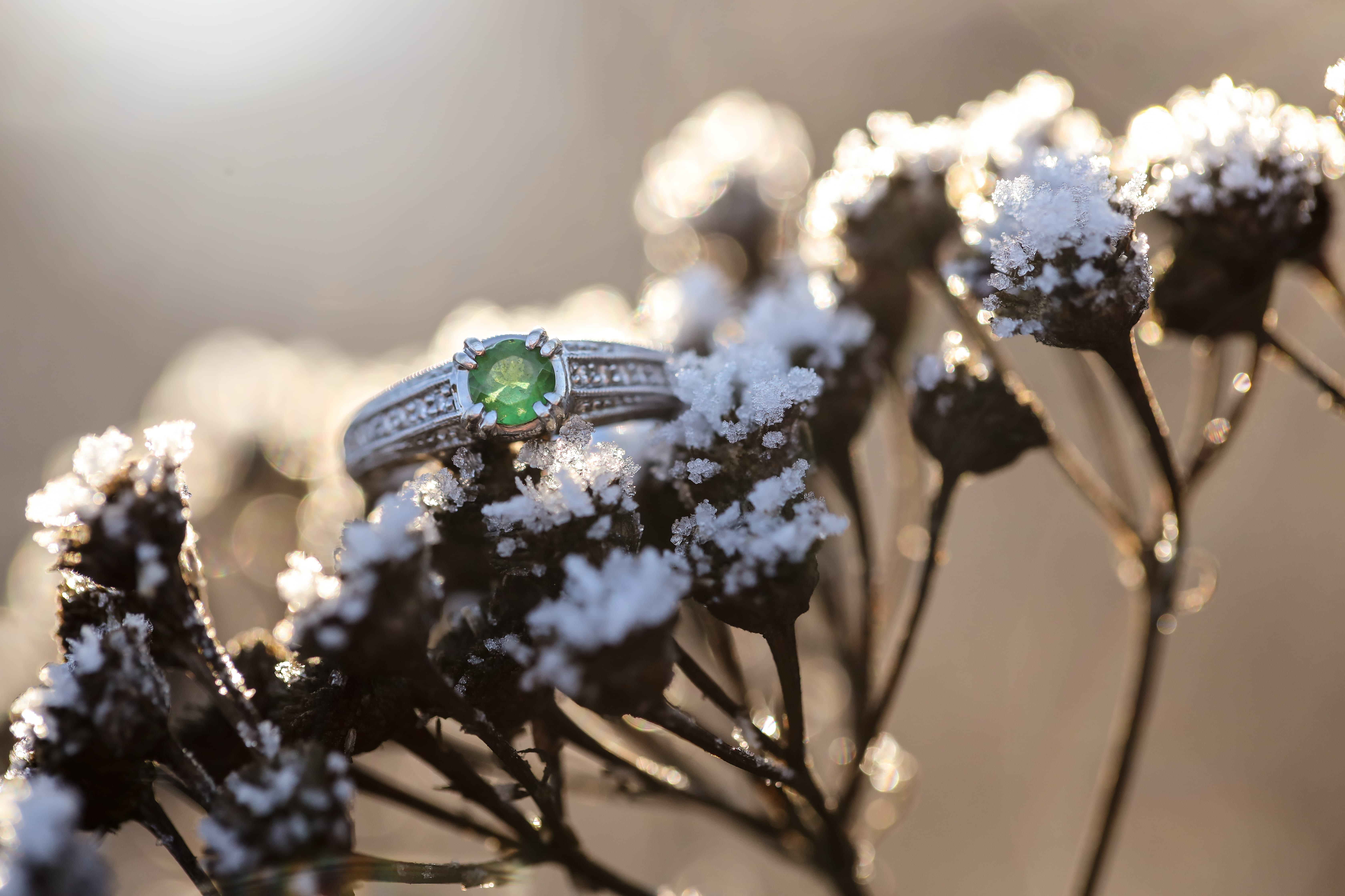 The Wedding Website of Hannah Kubert and Nicholas Grasseschi