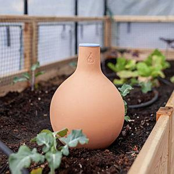 Oya Clay Watering Vessel - Medium