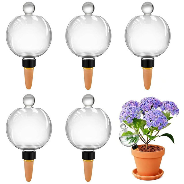 DI QIU REN 6 Pack 19oz Large Self Watering Globes, Automatic Plant Waterer with Glass Stopper - Slow Release Bulbs & Planter Insert, Top-Fill Water Spikes for Indoor Plants (6, Clear)
