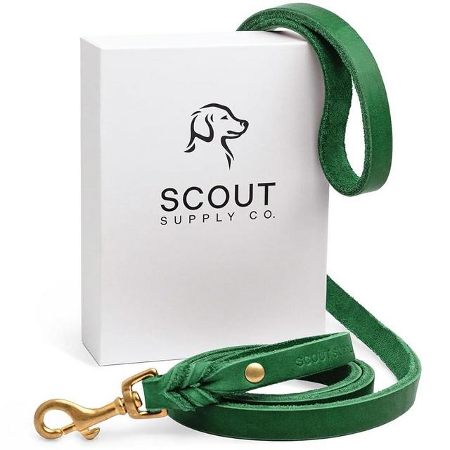 Scout Supply Classic Leather Dog Leash | Strong Heavy Duty Thick Full Grain Leather | Waterproof & Rust-Proof Brass Hardware (Green, L: 4.5 ft x 2/3 in)