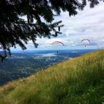 Poo Poo Point Trail