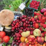 Templeton Farmers Market
