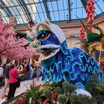 Bellagio Hotel & Casino