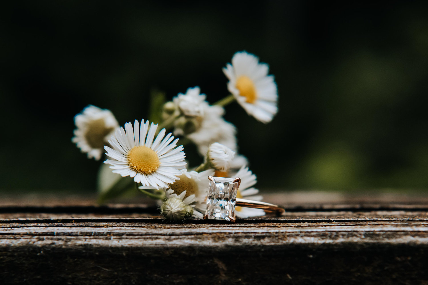 The Wedding Website of Serena Pretti and Philip Heuer
