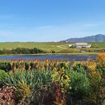 Rijks Wine Estate and Hotel. Tulbagh.