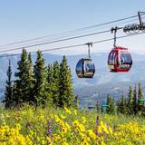 Silver Queen Gondola