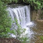 Hoggs Falls Hiking Trail