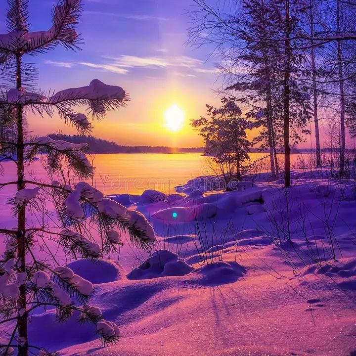 Winter Wonderland