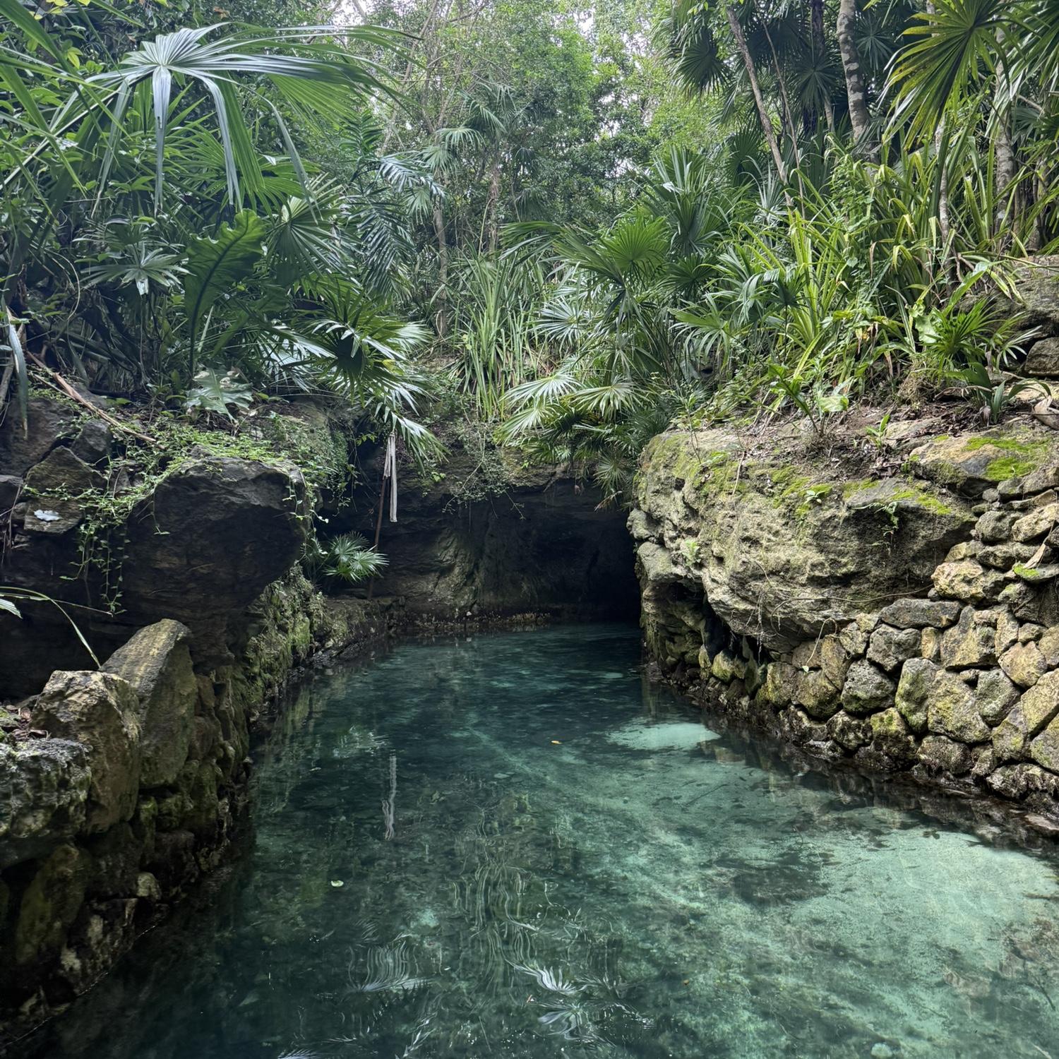 @Xcaret Park