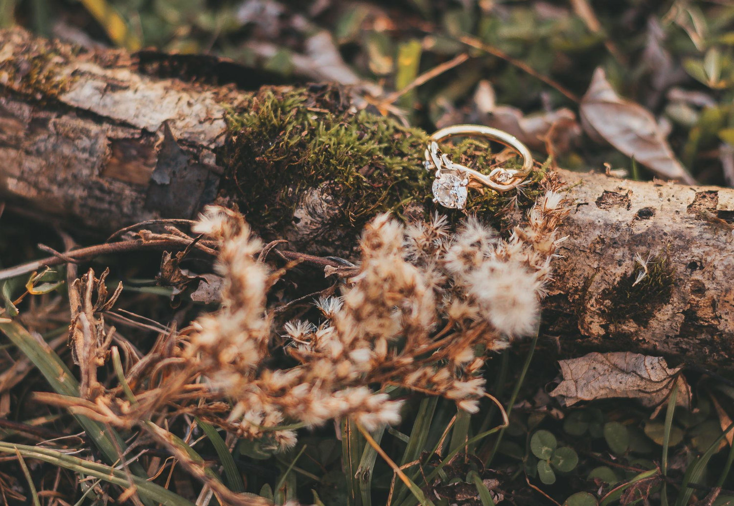 The Wedding Website of Danielle Bradford and Keenan Chilton