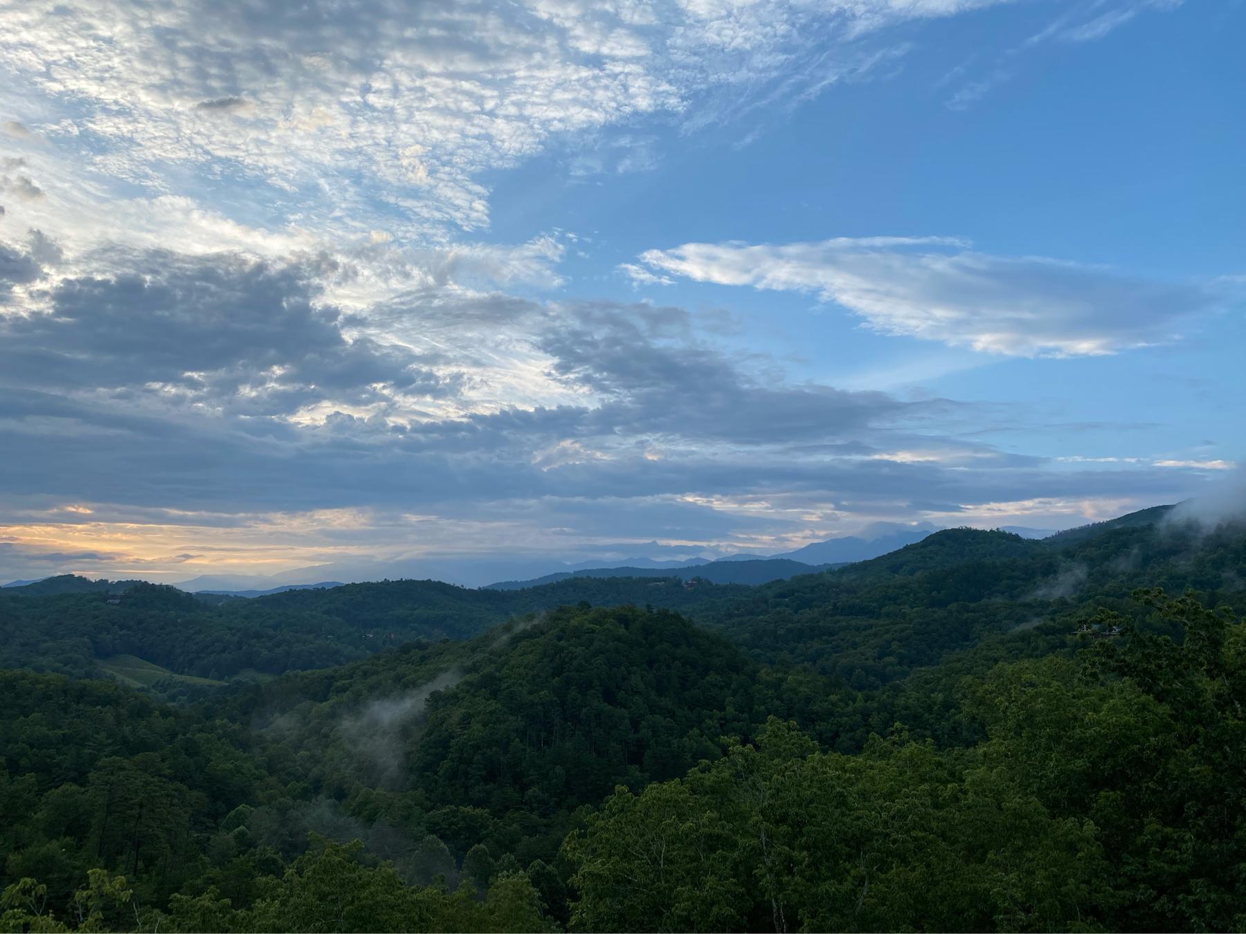 The Wedding Website of Amanda Sprout and David Windsor