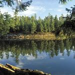 Woods Canyon Lake